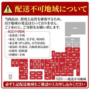 和風 おせち 二段重 2人前 抹茶 チーズケーキ 予約 正月