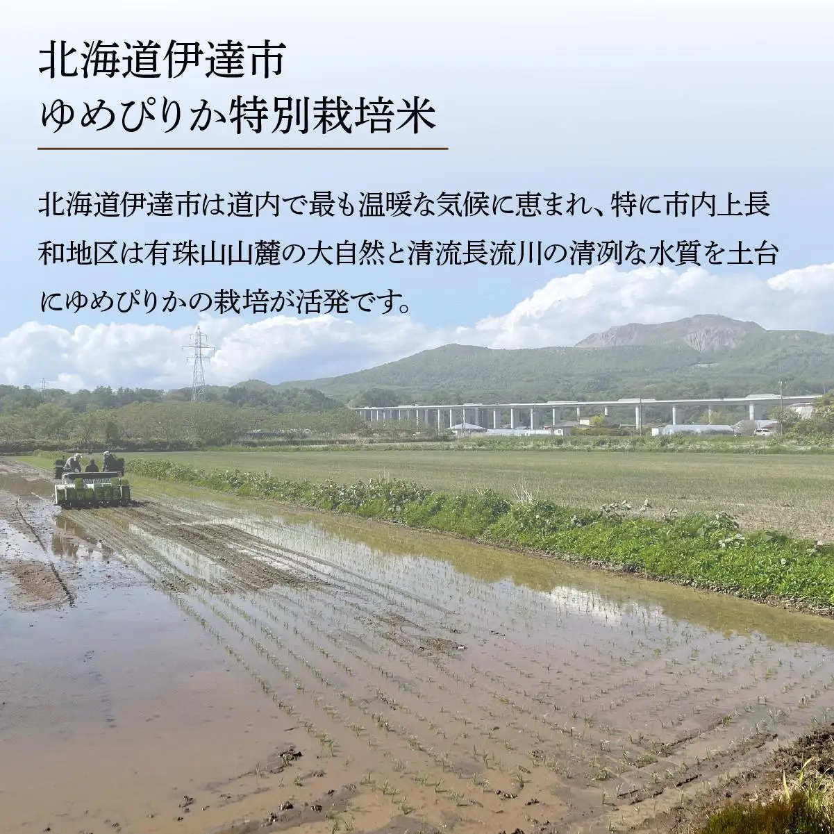 ＜先行予約＞【6回定期便】令和8年産 ゆめぴりか 精米 2kg【tkk-008】