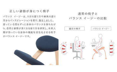 椅子 バランスイージー カバー付き 選べる カラー 椅子 ショートネイビー+ネイビー