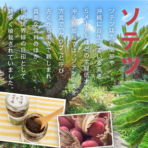 沖永良部島の伝統的な発酵調味料「奄美そてつ味噌130g」3個セット W009-084u 加工品 調味料 味噌