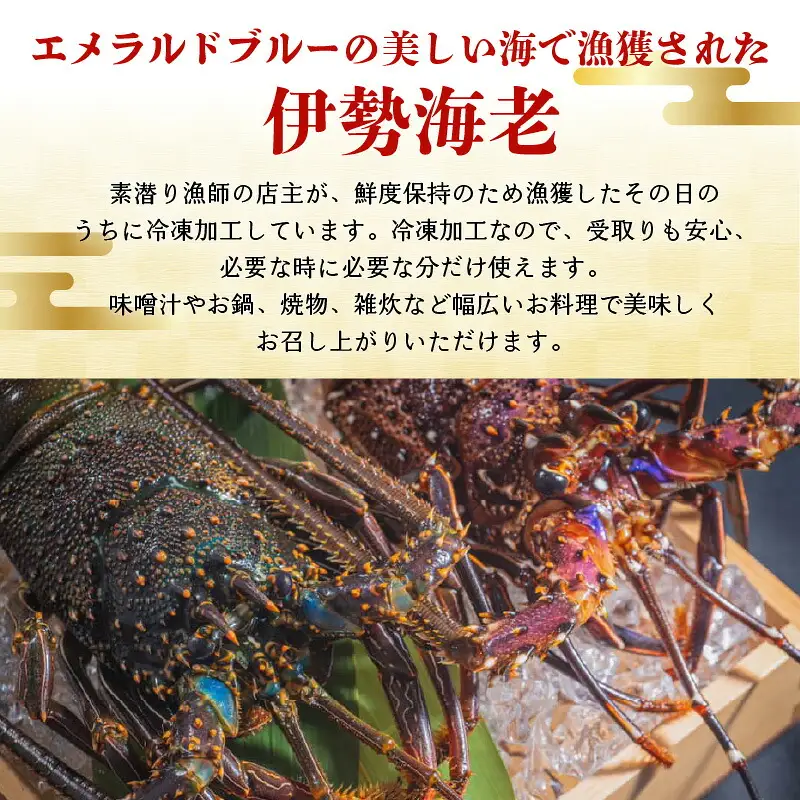 沖永良部島直送！素潜り漁師オススメの特大冷凍伊勢海老 約3～4キロ（2匹）！ W030-010u 冷凍 海鮮 エビ