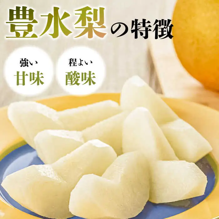 【2027年8月-発送】【口いっぱいのみずみずしさ！】豊水梨 約5kg 梨専門 八木農園 / 梨 なし ナシ / 南島原市 / 贅沢宝庫 [SDZ033]