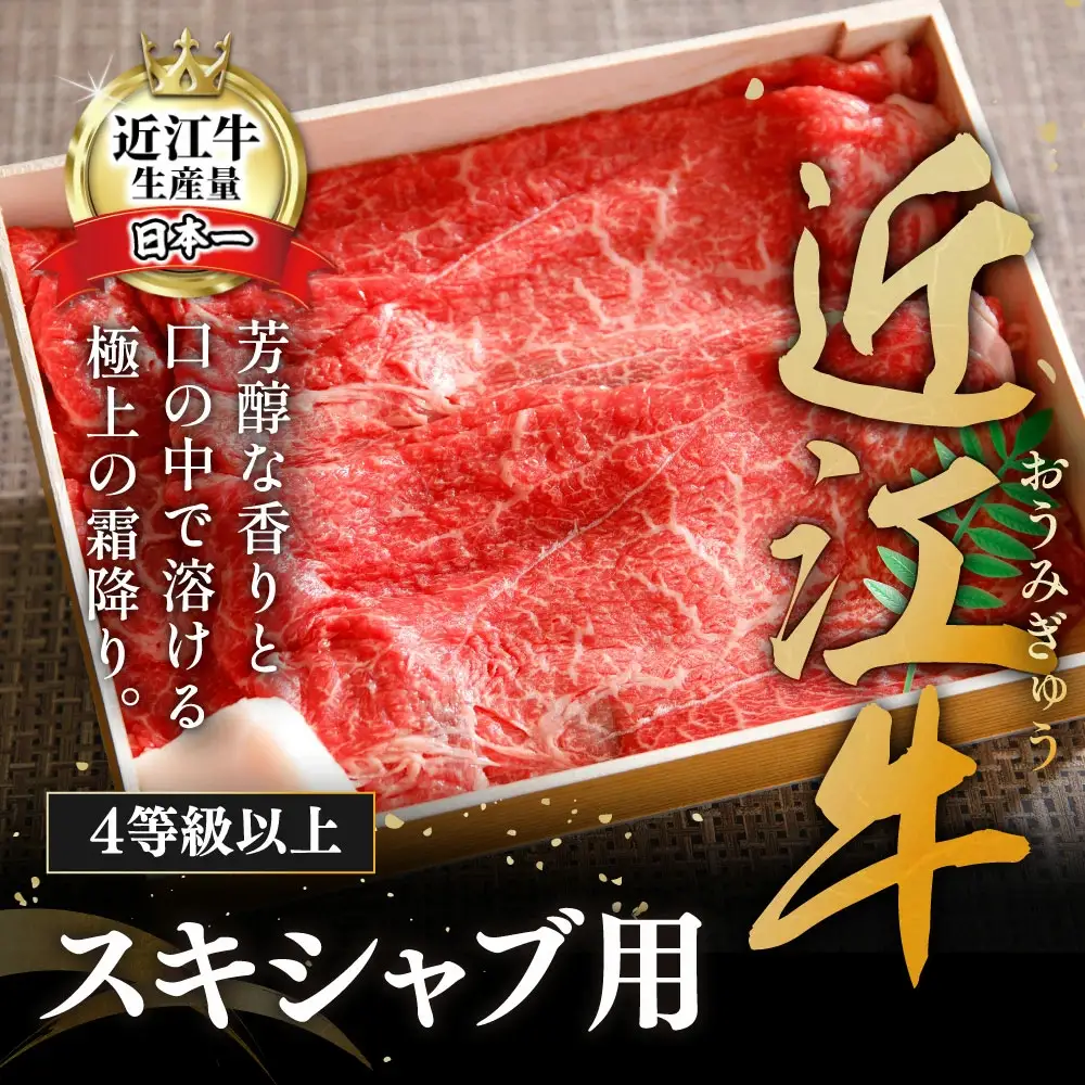 近江牛 すき焼き しゃぶしゃぶ 赤身 500g 【H002W】 牛肉すき焼き