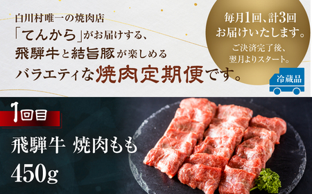 飛騨牛 & 結旨豚 定期便 5回 お届け てんから 定期便 [S578]