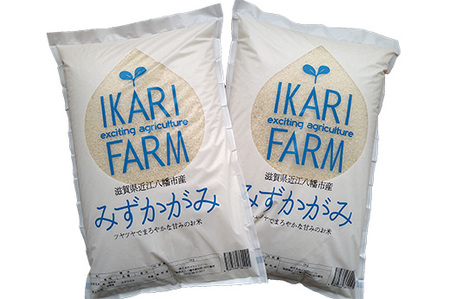 【新米】令和8年産　冷めても美味しいあっさりとした味わい「みずかがみ」白米【10kg（5kg×2袋）】【C015W2】近江米