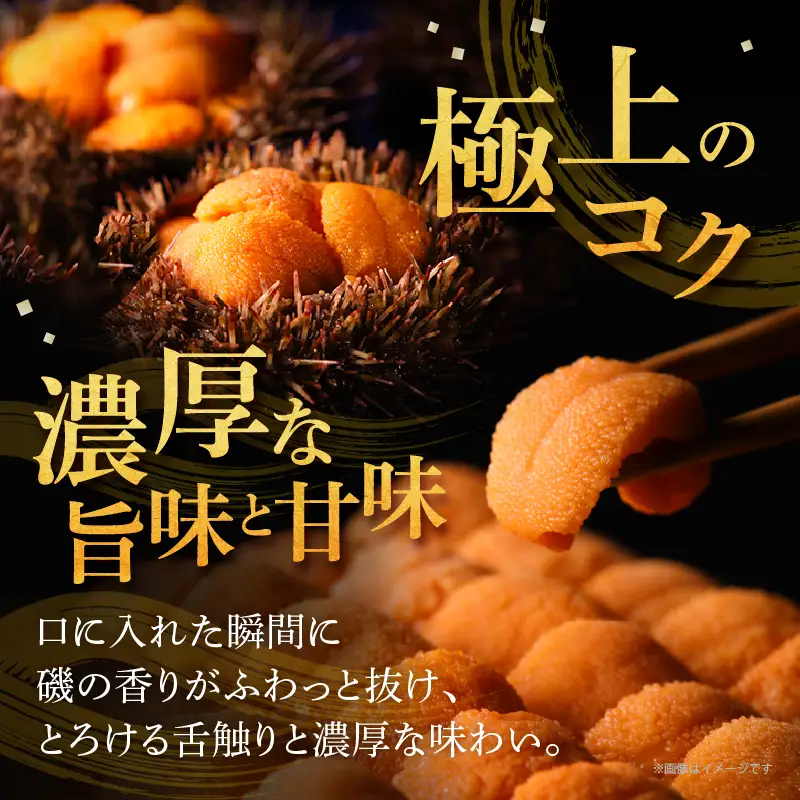 浜中産　養殖エゾバフンウニ(塩水パック)100g_H0009-115