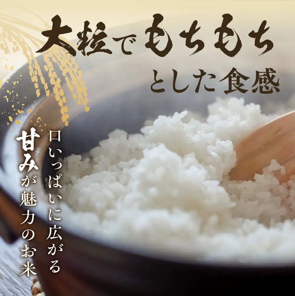 新米 ゆうだい21 5kg / 米 5キロ 阪口農園
