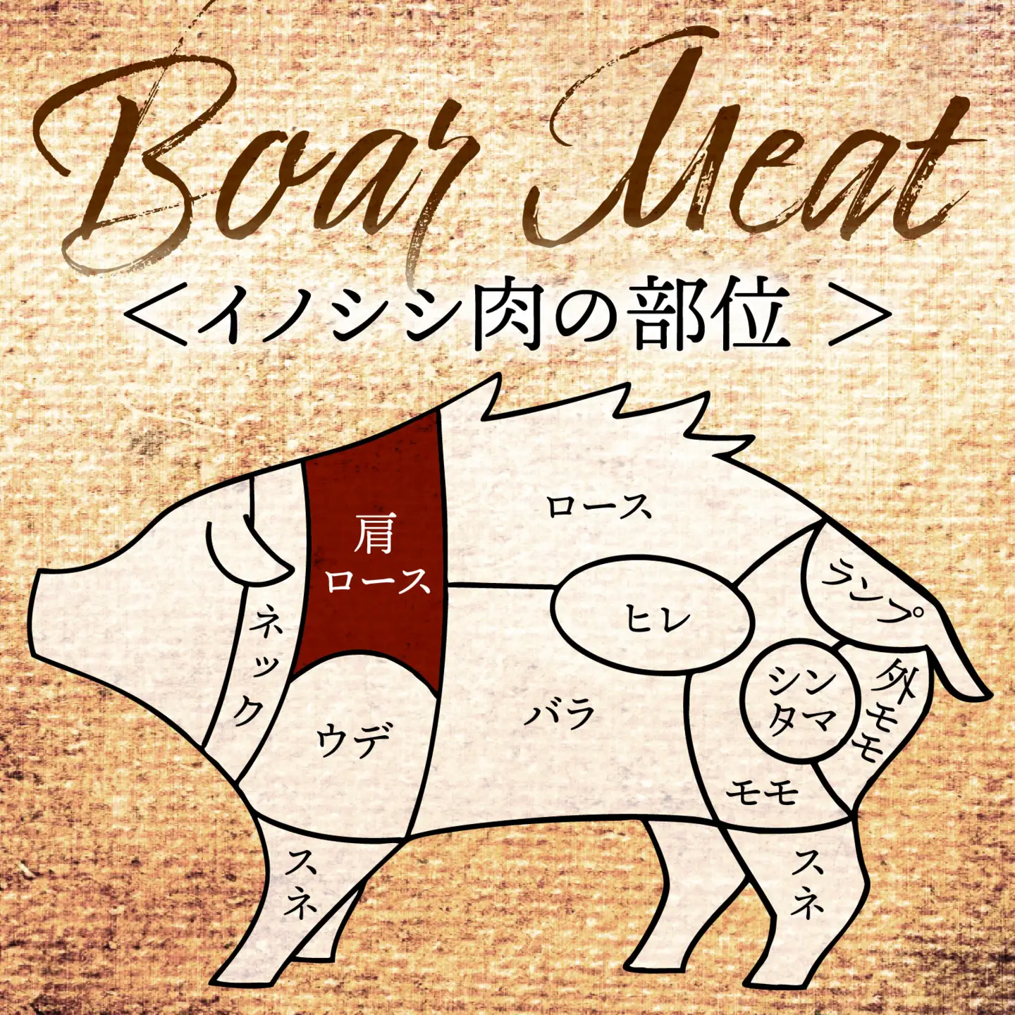 猪肉 肩ロース 200g 奥能登穴水町産 | 肩ロース