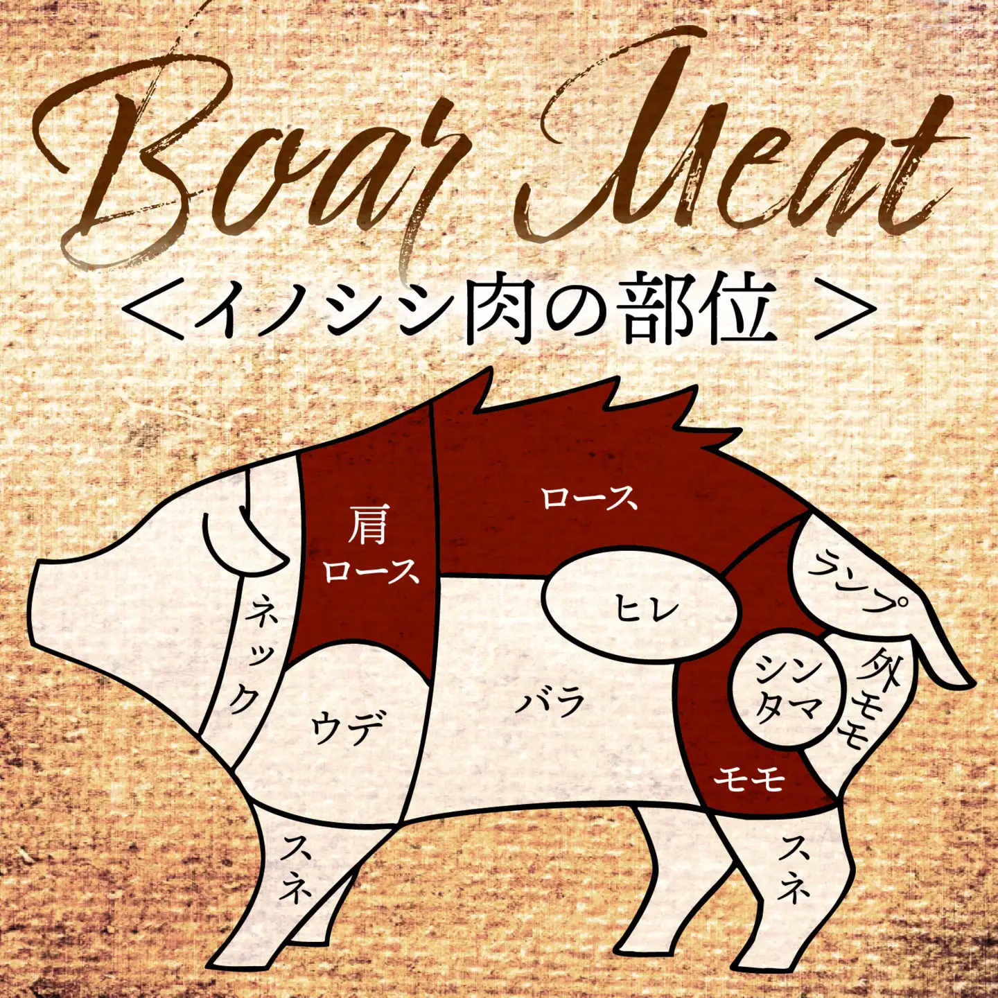 今話題のジビエ！奥能登穴水町産 天然 猪肉セット 600g
