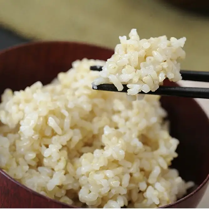【新米】令和8年産　すっごいもちもち 「しきゆたか」 玄米【10kg(5kg×2袋）】【C003W2】 しきゆたか