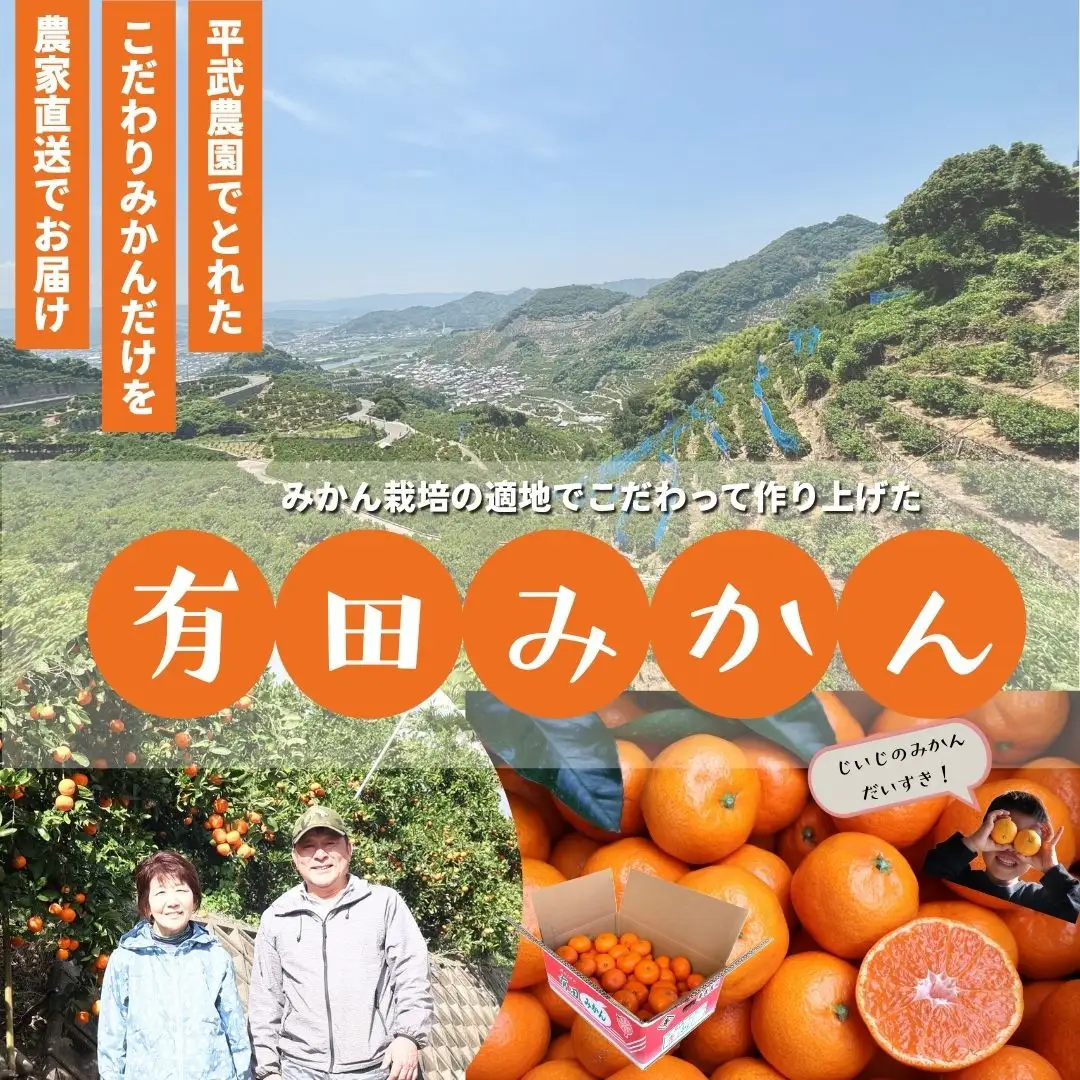 農家直送！有田みかん（10kg 訳あり≪サイズ混合≫）平武農園　～蛍飛ぶ町から旬の便り～
