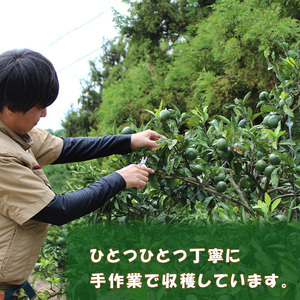 【2026年12月中旬頃から順次発送】中島産 温州みかん 小玉5kg ｜ ミカン 蜜柑 不揃い 柑橘 果物 フルーツ 松山 愛媛【NM0051】