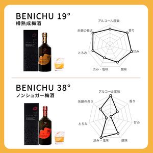 樽熟成梅酒と無糖梅酒、BENICHU19°38°2種6本飲み比べセット（750ml） お酒 洋酒 リキュール
