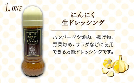【全12回定期便】糸島そだち の 選べる ドレッシング × 3本 セット《糸島》【農香美人】[AAG017]