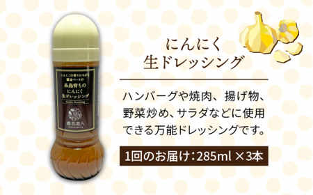 【 全3回 定期便 】糸島 そだち の にんにく ドレッシング × 3本 セット《糸島》【農香美人】[AAG021]