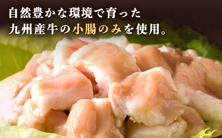 【全3回定期便】国産 ・ 完全 無添加 もつ鍋 セット ( 約 2人前 ) 白みそ味 糸島市 / 博多 浜や[AFF005]