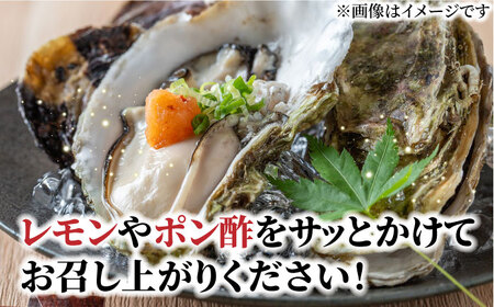 ブランド牡蠣 「 豊前海一粒かき (しいだ小粒がき)」 中サイズ 3kg [ABAY004]