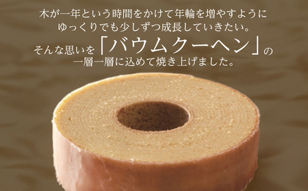 バウムクーヘン Lサイズ 洋菓子 バウムクーヘン