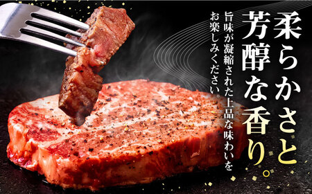 壱岐牛 ヒレステーキ 400g（200g×2枚）［化粧箱付き]《壱岐市》【株式会社イチヤマ】[JFE090] 冷凍配送 黒毛和牛 A5ランク 肉 牛肉 ヒレ ステーキ 焼肉 焼き肉 BBQ 赤身 シャトーブリアン 32000 32000円  焼肉用 九州