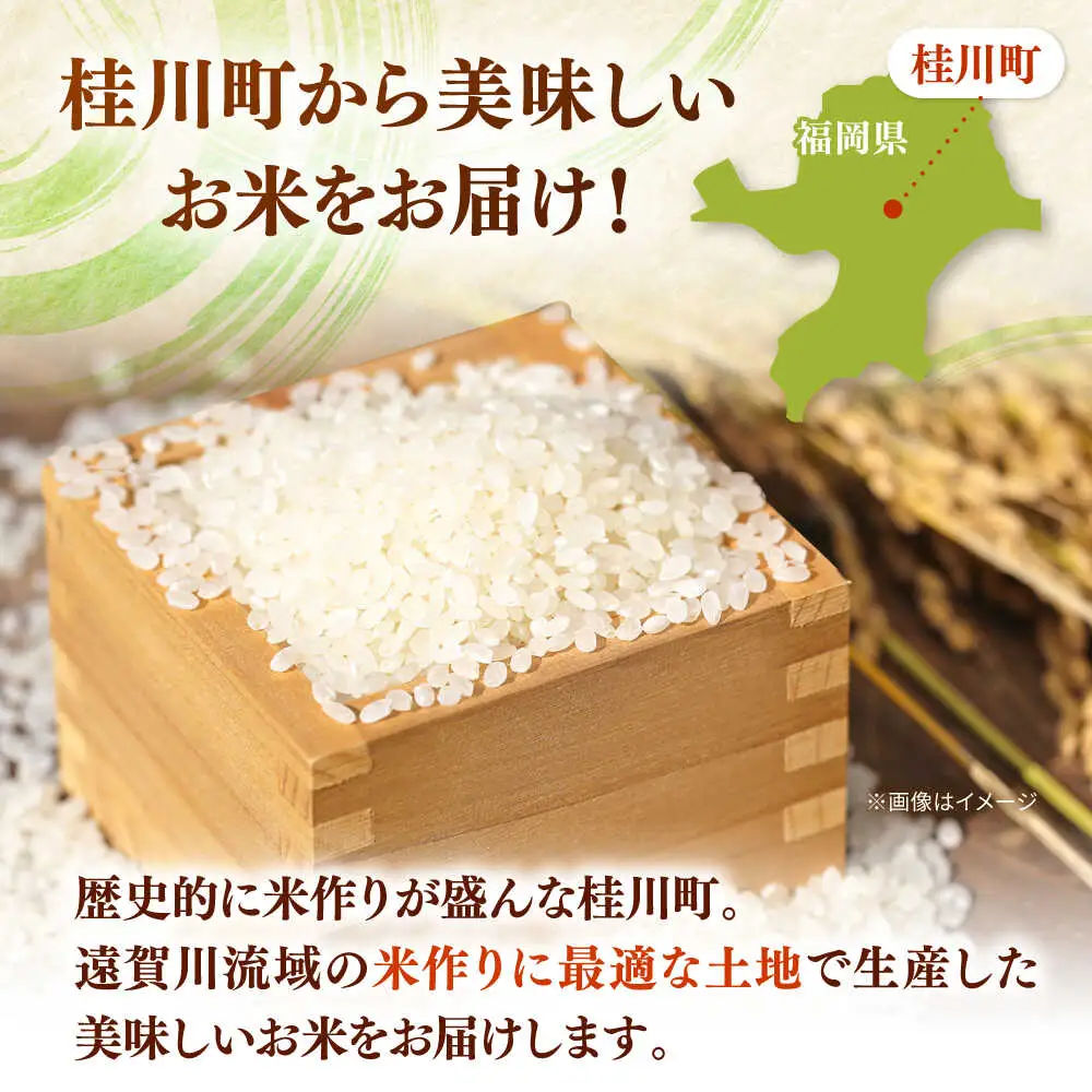  桂川町産 白米 4kg と しょうがの佃煮セット [ADAI001] 米 佃煮