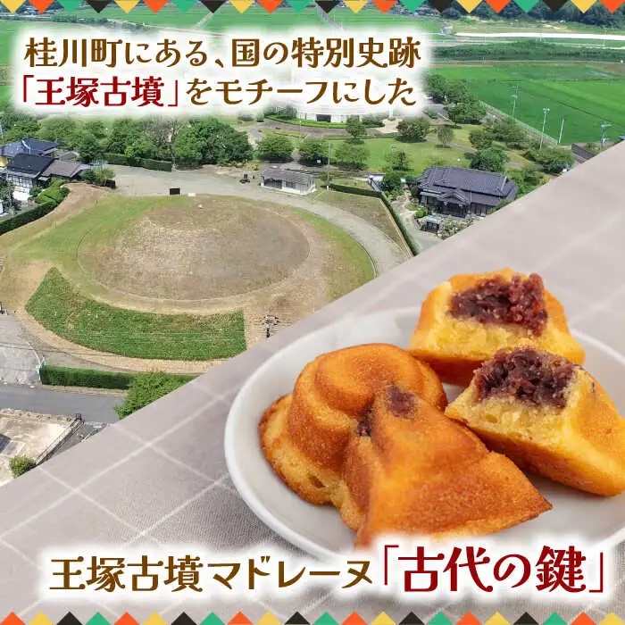 王塚古墳マドレーヌ（12個入り） [ADAJ001]  焼菓子マドレーヌ