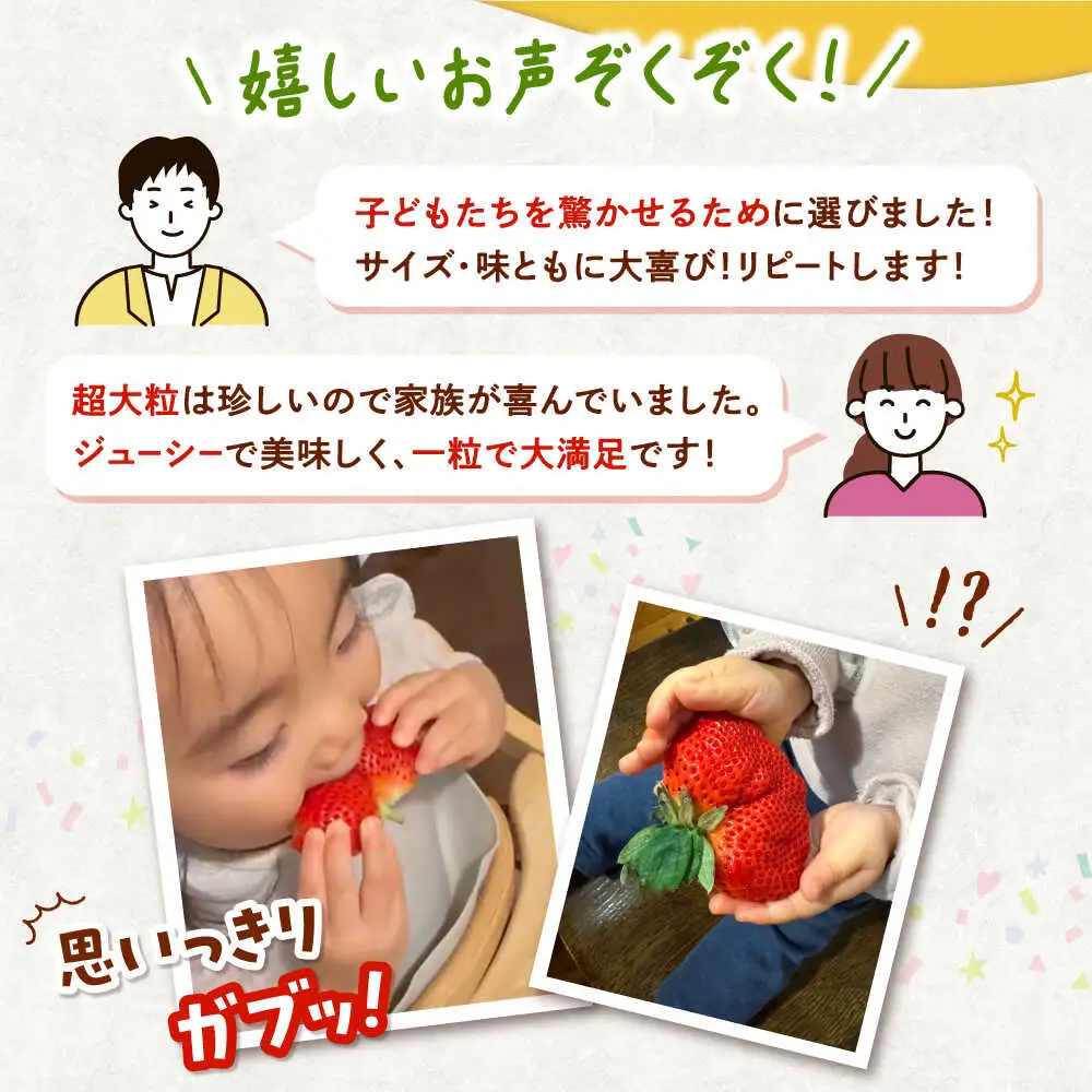 【2027年度先行予約】超大玉あまおう  約320g×2 [ADAT001] あまおう