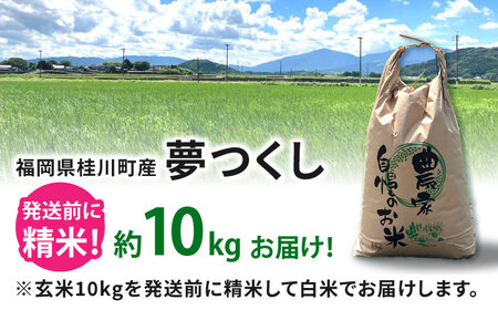 福岡県桂川町産夢つくし 白米 （玄米 10kg を発注後 精米 してお届け！） 桂川町/一般社団法人地域商社いいバイ桂川 [ADBB001] 夢つくし 福岡 白米 米 コメ 米 おにぎり