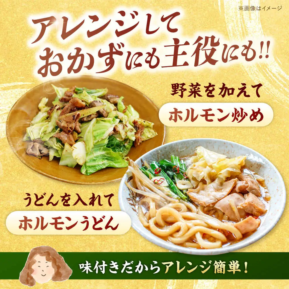 味付き ホルモン （旨辛・味噌・筑豊ホルモン焼き）3種セット 桂川町/マルマツ産業株式会社 [ADAE005] ホルモン焼き ホルモン 味付きホルモン 焼肉 冷凍