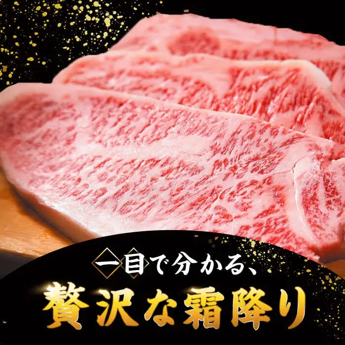 博多和牛 サーロイン ステーキ セット 500g [250g×2枚] 桂川町/株式会社 MEAT PLUS [ADAQ010] 和牛サーロイン 国産 サーロイン ステーキ ステーキ用