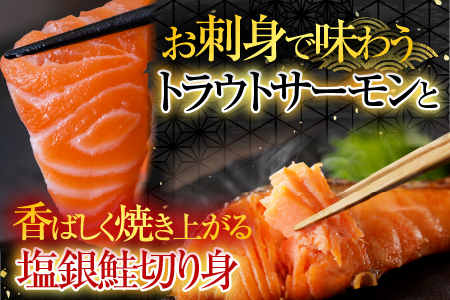 お刺身トラウトサーモン6～12本(計3kg)＆塩銀鮭切り身1切(約70g)×30P D-09040
