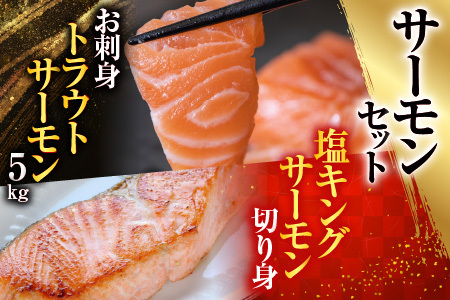 お刺身トラウトサーモン10～25本(計5kg)＆塩キングサーモン切り身1切(約100g)×20P E-09009
