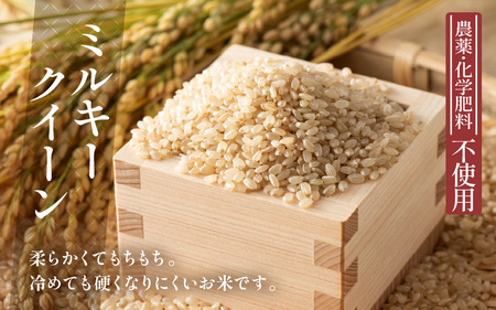 【令和7年産】発芽玄米 ミルキークイーン 3kg 無洗米 米 玄米 [A-29106]