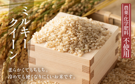 【令和7年産】発芽玄米 ミルキークイーン 2kg 無洗米 米 玄米 [A-29105]