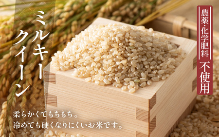 【令和7年産】発芽玄米 ミルキークイーン 5kg 無洗米 米 玄米 [B-2955] 