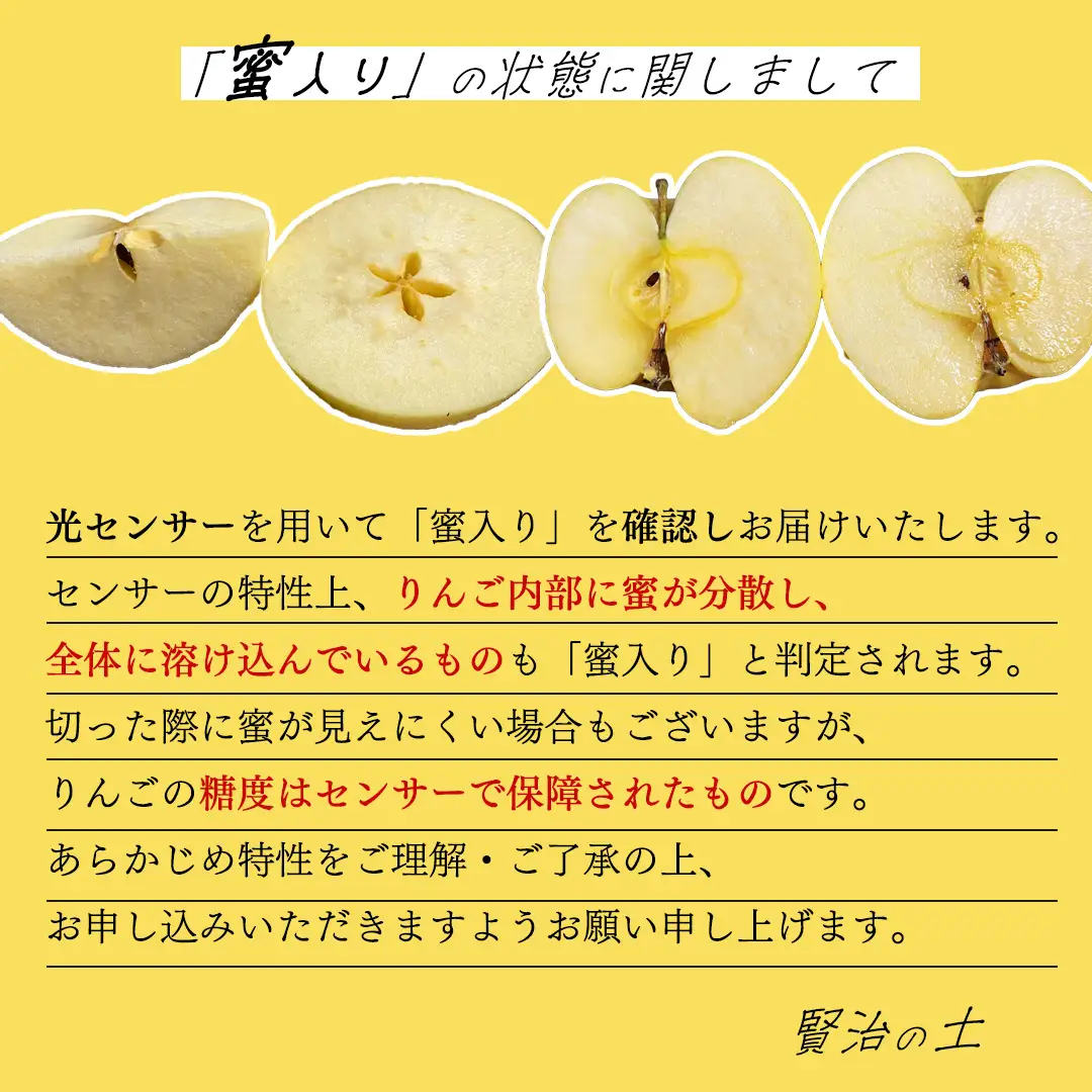 【先行予約】りんご 「冬恋」はるか  (AI022) りんご