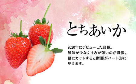 【先行予約】いちご とちあいか つる付き 4パック ※2027年1月～発送
