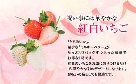 【先行予約】いちご おめでた紅白2種いちご 4パック ※2027年2月～発送