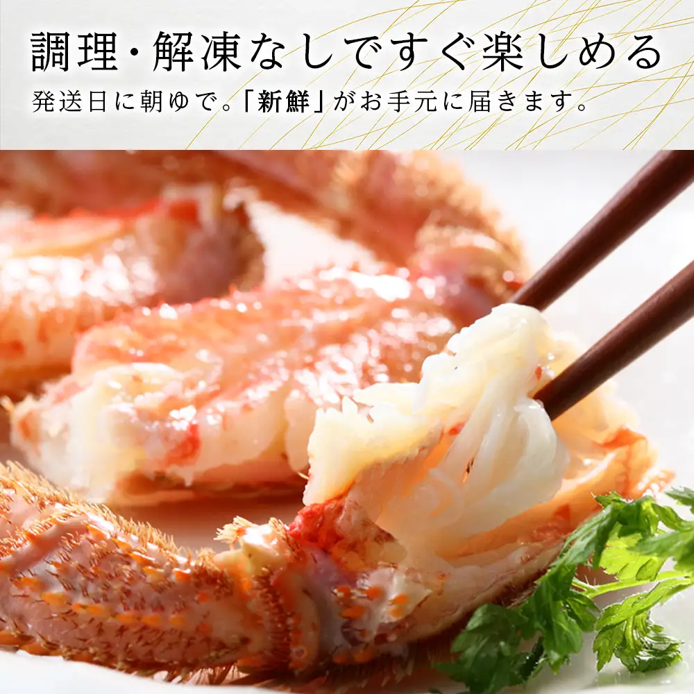 北海道産【朝ゆで】毛ガニ（500g前後）1尾 期間限定！＜かにのマルマサ＞ かに 毛がに カニ 千歳 北海道 海鮮
