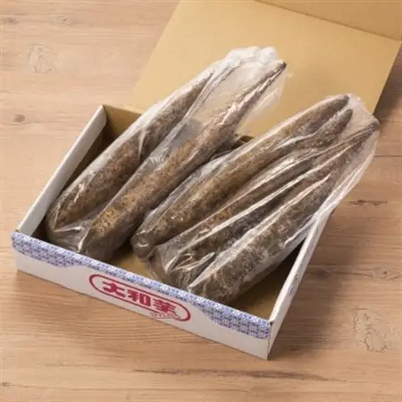 掘ったままの大和芋　約2kg×1ケース_野菜  いも イモ 芋_【配送不可地域：離島】【1210035】