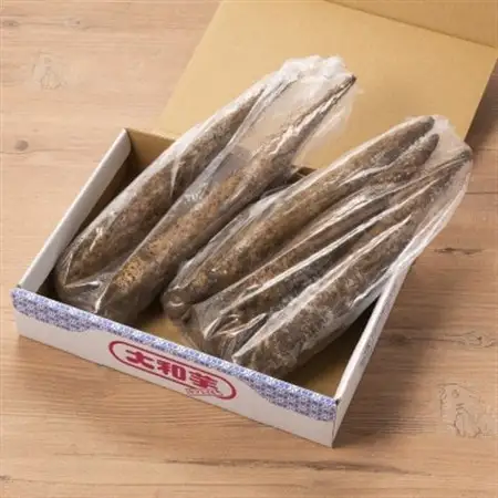 掘ったままの大和芋　約2kg×3ケース_野菜  いも イモ 芋_【配送不可地域：離島】【1210037】