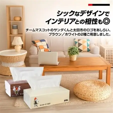 群馬クレインサンダーズ応援ソフトパックティッシュ 400枚(200組)×60パック　9/30受付終了_ティッシュ ティッシュペーパー ソフトパック まとめ買い ソフト 箱なし 群馬県 太田市 ふるさと_【配送不可地域：離島・沖縄県】【1422589】