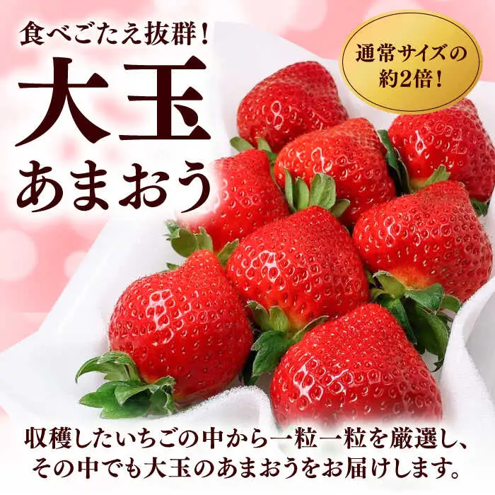 【2027年度先行予約】大玉あまおう 約320g×2P [ADAT002] いちご あまおう