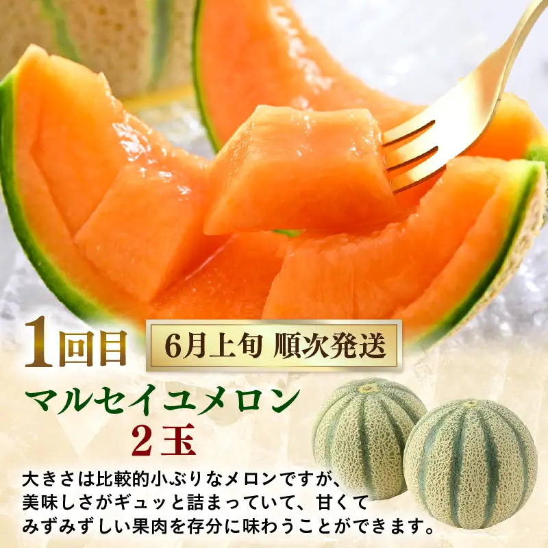 【先行予約】《定期便全5回》フルーツ大満足定期便 ／ すいか マスクメロン 高級メロン 大玉 果物 フルーツ 夏 ギフト 農家直送 ※2027年6月上旬以降発送  [aw065-d001]