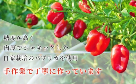 パプリカ調味料「マッサ」甘