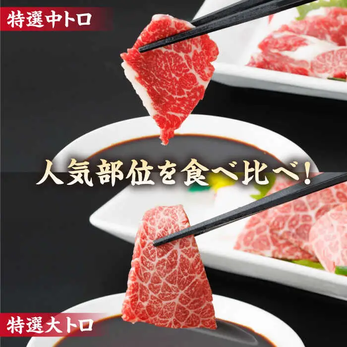 【6回定期便】特選霜降り馬刺し 中トロ大トロ2種食べ比べセット 計200g（各1pc）【馬刺しの郷 民守】 2種馬刺しセット 中トロ 大トロ 熊本 霜降り 特選 [ZBL078]