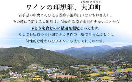 〈エーデルワイン〉シルバー大迫メルロー＆ゼーレオオハサマ ツヴァイゲルトレーベセット【高島屋選定品】 【1735】