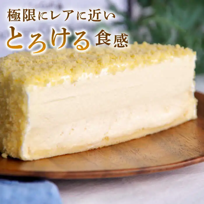 ダブルフロマージュ（チーズケーキ） / ケーキ ちーずけーき スイーツ デザート おやつ お土産 / 南島原市 / 本田屋かすてら本舗 [SAW038]