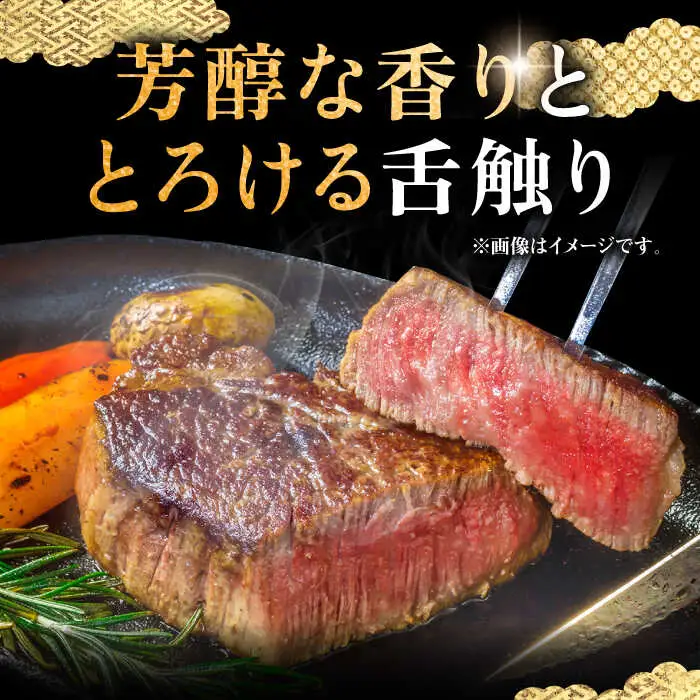 壱岐牛 シャトーブリアン 120g×3枚《壱岐市》【中津留】[JFS006] 肉 牛肉 和牛 ヒレ ステーキ ヒレステーキ 3枚 冷凍配送 48000 48000円 九州
