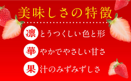 【2027年1月発送開始】いちごさん（450g×2パック） / フルーツ 苺 / 佐賀県 / JAからつ 唐津うまかもん市場 [41ABCA002]