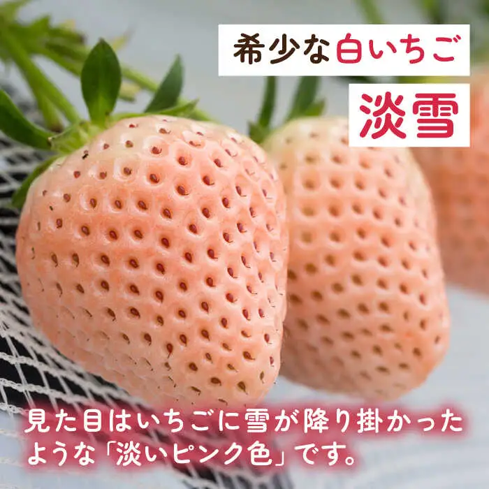 【2027年1月以降順次発送】【化粧箱入り】ほんのりピンクな白いちご希少「淡雪」400g / 佐賀県 いちご / 岸川農園 [41ASAG044]